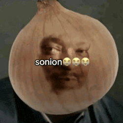 SONION