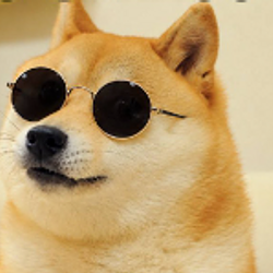 DANKDOGE
