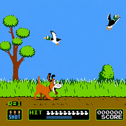 DUCKHUNT / SOL