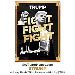 TRUMP / SOL