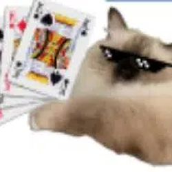 CAT-K