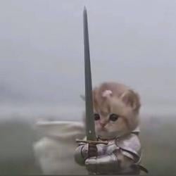 S-Cat