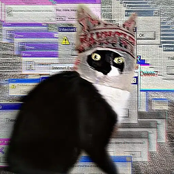 www