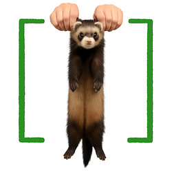LONGFERRET / WETH