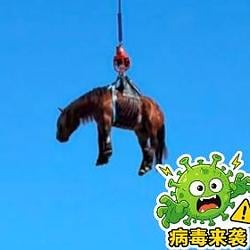 币安病毒 / BNB