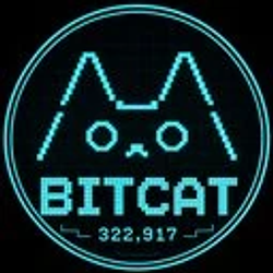BITCAT / BNB