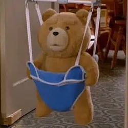 Ted / SOL