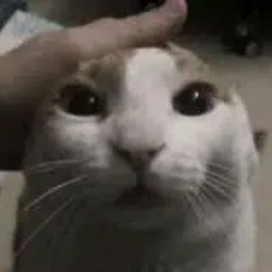 RAM