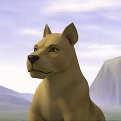 ROARDOG / SOL