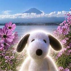 Snoopy