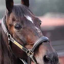 VARENNE