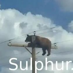 Sulphur / SOL
