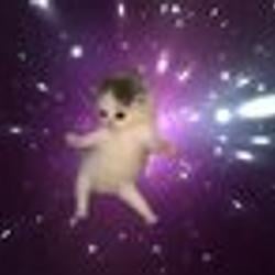 DANCECAT