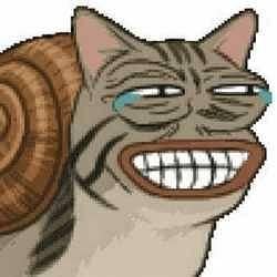 Snailcat / SOL