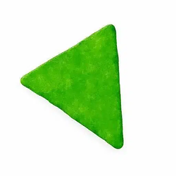 chip