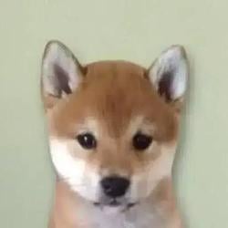 ‎ / SOL