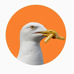 gullpurr / SOL