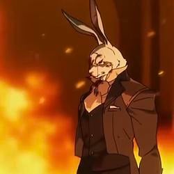 Rabbit