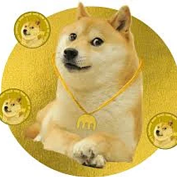 DOGE
