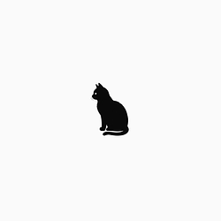 MICRO