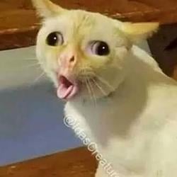 COUGHING