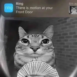Motion / SOL
