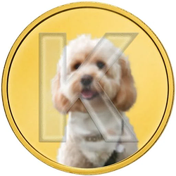 Kohi