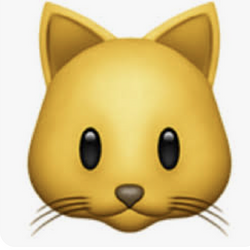 CAT / SOL