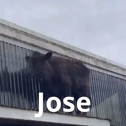 Jose