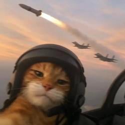 $JETCAT / SOL