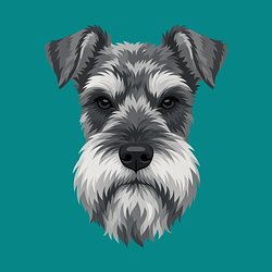 SCHNAUZER