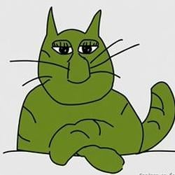 GROYPER / SOL