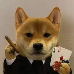 casinu