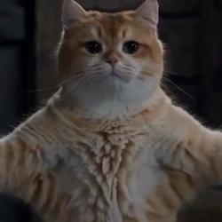CATSLOP