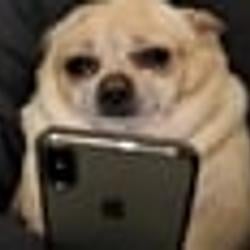 SOBDOG