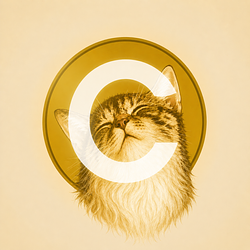 OLDCATE / SOL