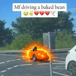 Bean / SOL