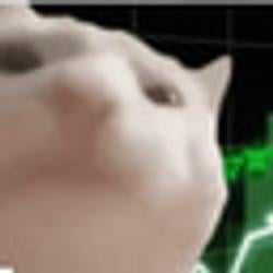 StockCat / SOL