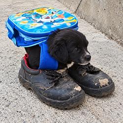 BACKPACK