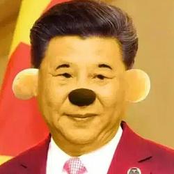 欣妮 / USDG