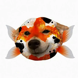 KOINU