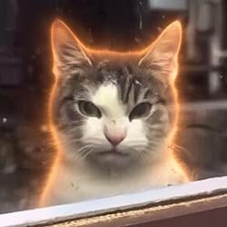 ANGRY