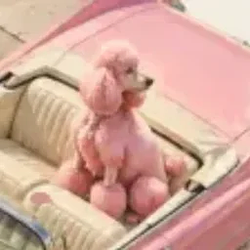WOOF