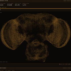 FLYBRAININU