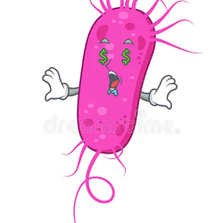 BACTERIA
