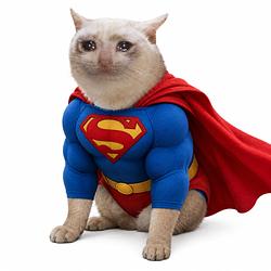 SuperCC