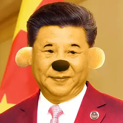 XI