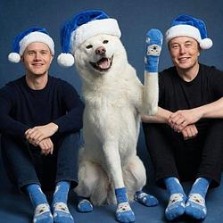 RUSSELLSOCKS logo