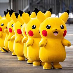 Pikachu / SOL