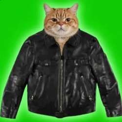 The Leather Jacket